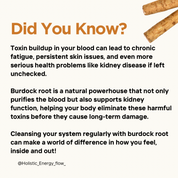 Burdock Root Seamoss (Natural Diuretic, Aids w| Diabetes, Prostate Health, Hair Growth, Eczema, Liver, Kidney + More)