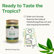 Soursop Leaf Seamoss Gel - (Ulcers, Infection, Immunity)