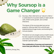 Soursop Leaf Seamoss Gel - (Ulcers, Infection, Immunity)