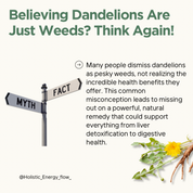 Dandelion Root Seamoss Gel - (Liver, Gallbladder, Kidney, Heart, Immune System)