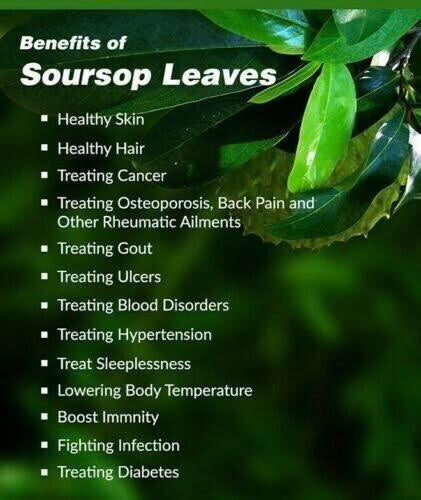 NEW* Soursop Leaf Seamoss Gel - (Ulcers, Infection, Immunity)