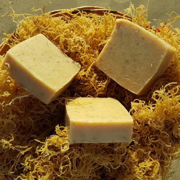 Anti-Aging Gold Sea Moss Soap