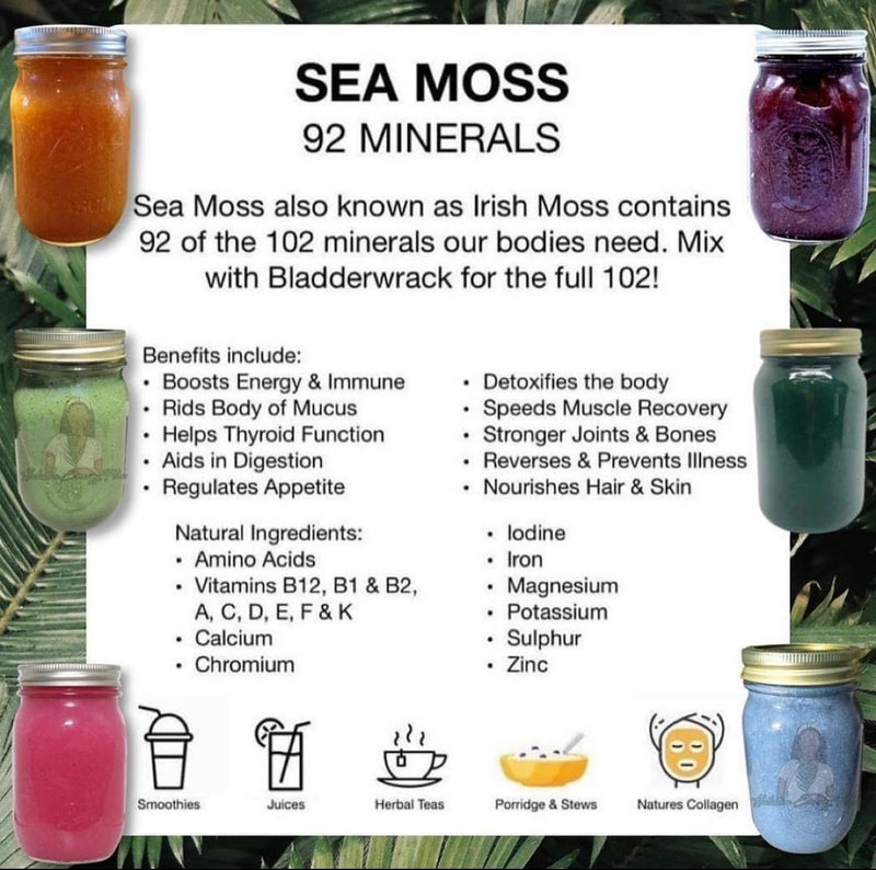Caribbean Seamoss Gel - Super Food - 92 Vitamins + Minerals (16oz)