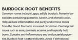 Best Burdock Root Sea Moss Gel Of 2021